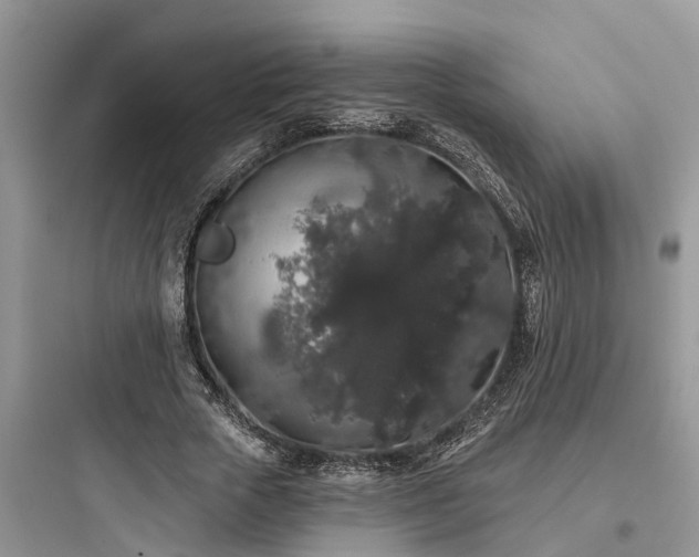 X0000097910729200803211504