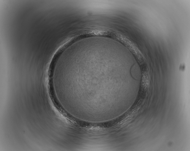 X0000097910730200803211504