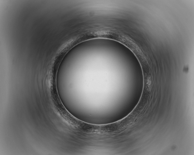 X0000097910732200803211504