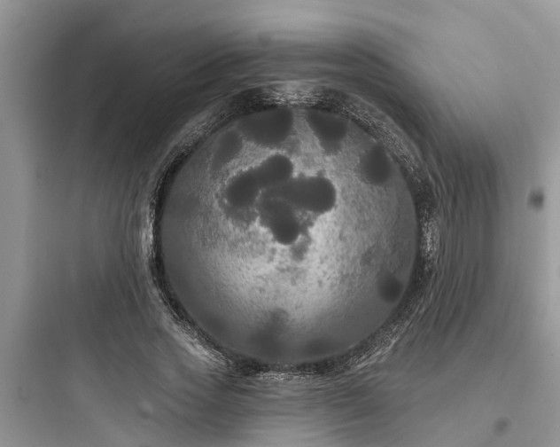 X0000097910733200803211504