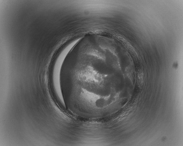 X0000097910734200803211504