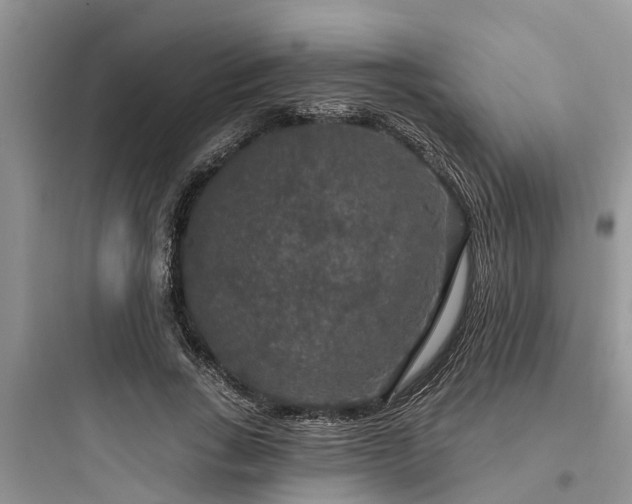 X0000097910735200803211504