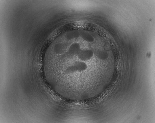 X0000097910737200803211504