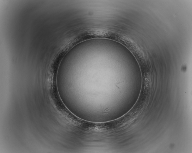 X0000097910739200803211504