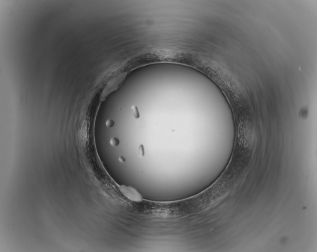 X0000097910740200803211504