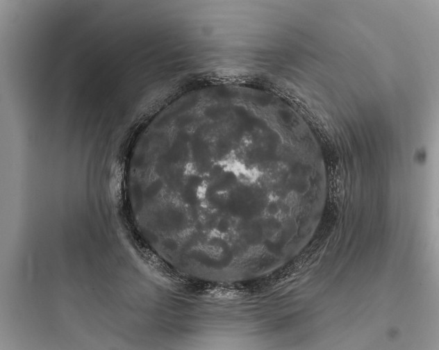 X0000097910742200803211504