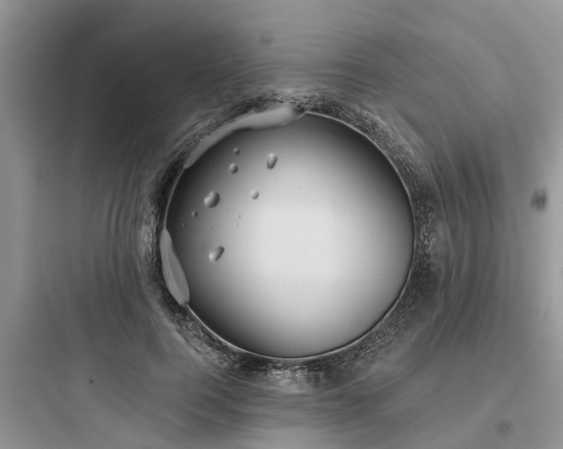 X0000097910744200803211504