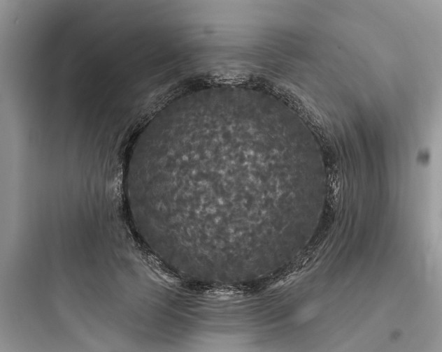 X0000097910745200803211504