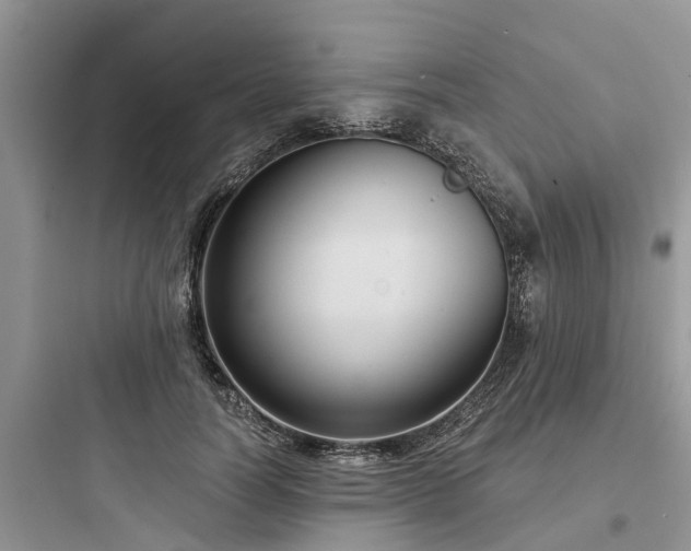 X0000097910746200803211504