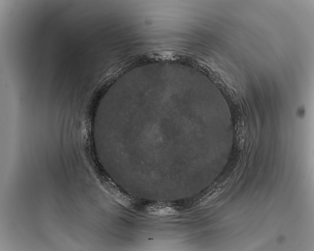 X0000097910747200803211504