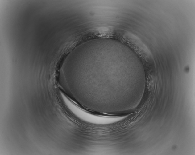 X0000097910748200803211504