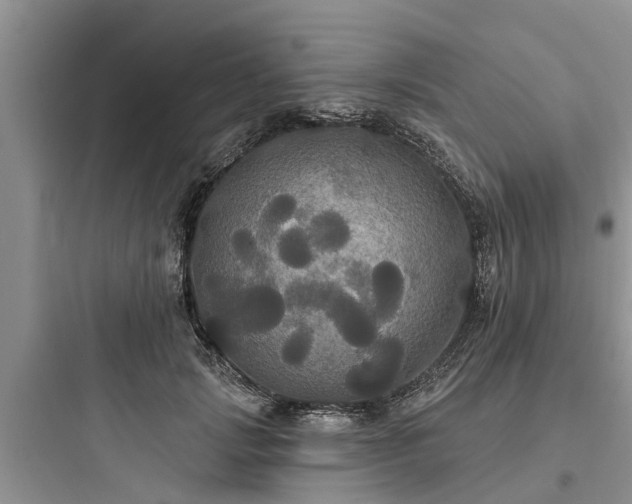 X0000097910749200803211504