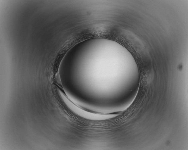 X0000097910750200803211504