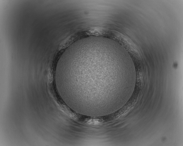 X0000097910751200803211504