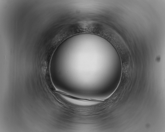 X0000097910752200803211504