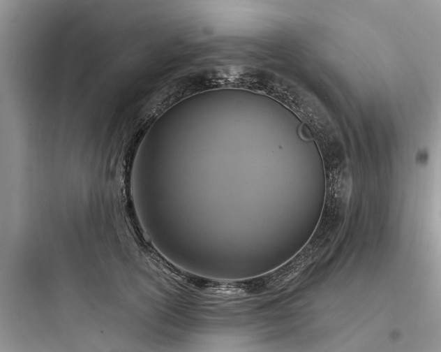 X0000097910754200803211504