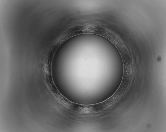 X0000097910755200803211504