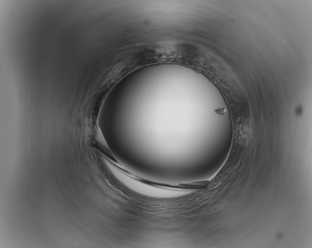 X0000097910756200803211504