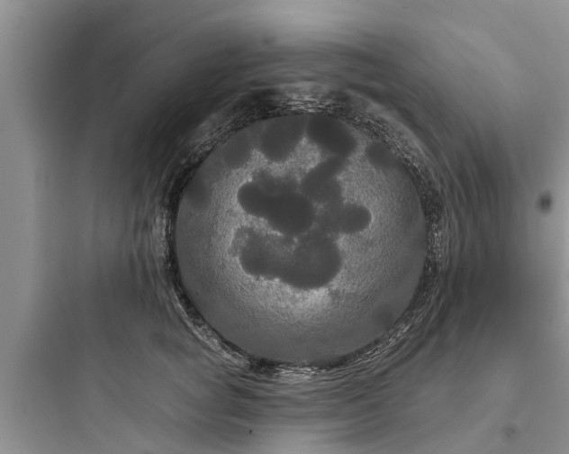 X0000097910757200803211504