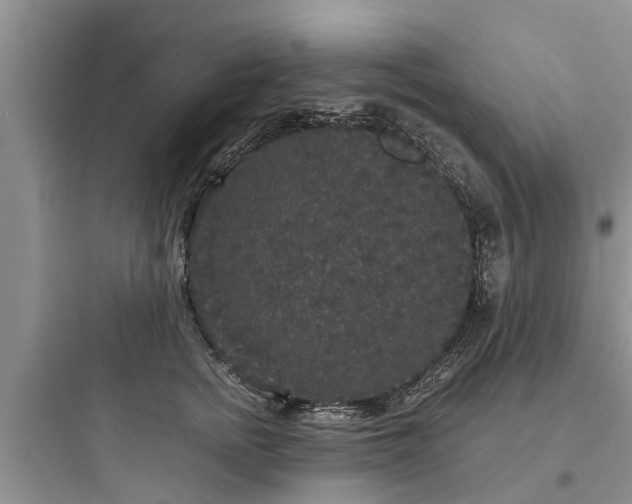 X0000097910758200803211504