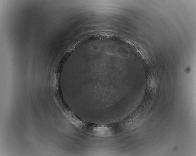 X0000097910759200803211504