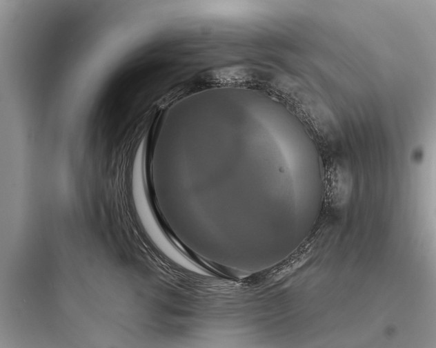 X0000097910762200803211505