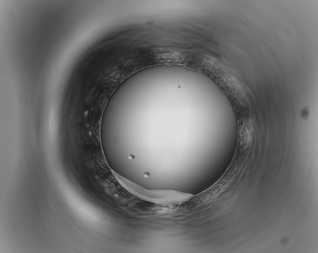 X0000097910764200803211505