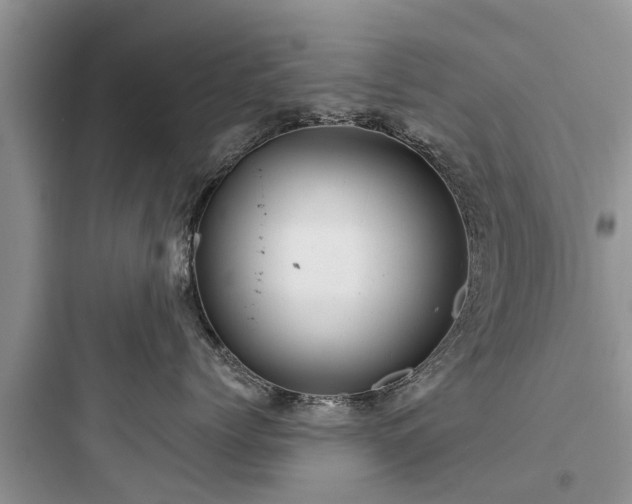 X0000097910768200803211505