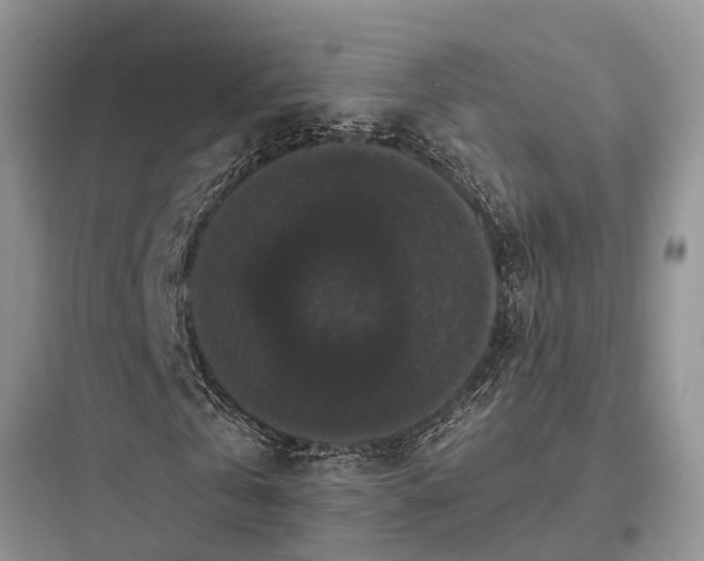 X0000097910769200803211504