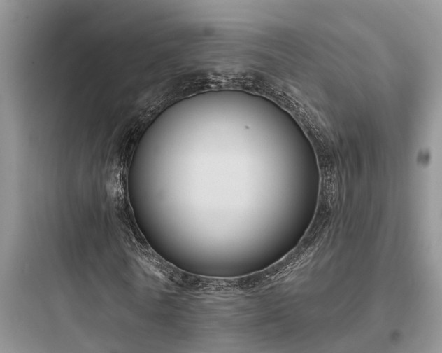 X0000097910770200803211504