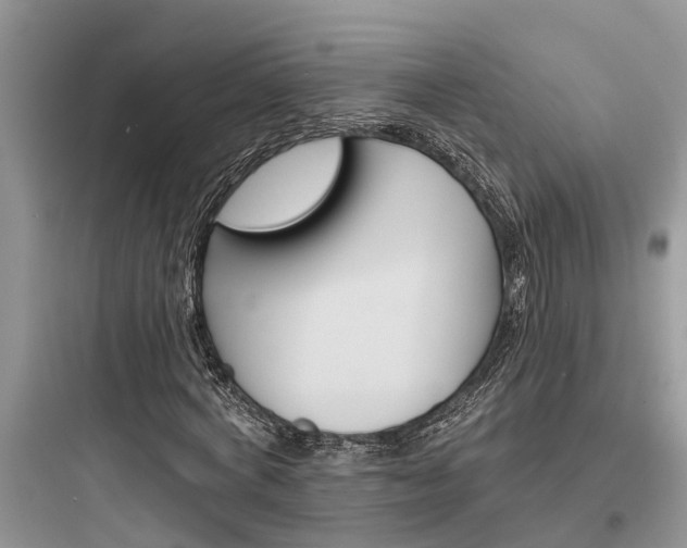 X0000097910772200803211504