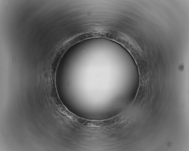 X0000097910773200803211504