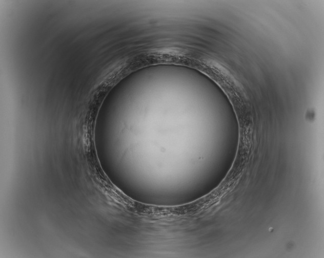 X0000097910774200803211504