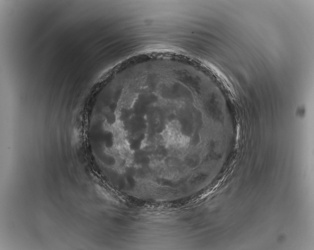 X0000097910775200803211504