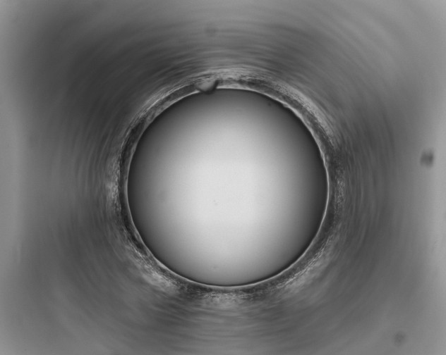 X0000097910778200803211504