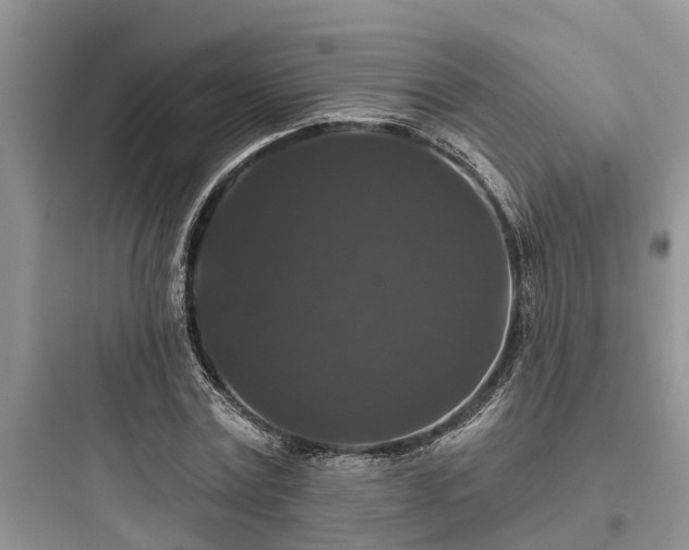 X0000097910779200803211504