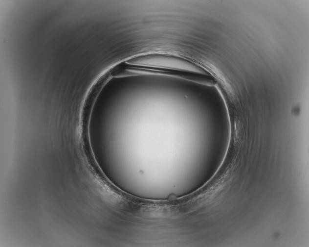 X0000097910780200803211504