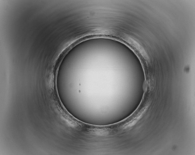 X0000097910781200803211504