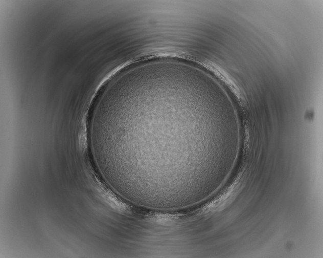 X0000097910782200803211504