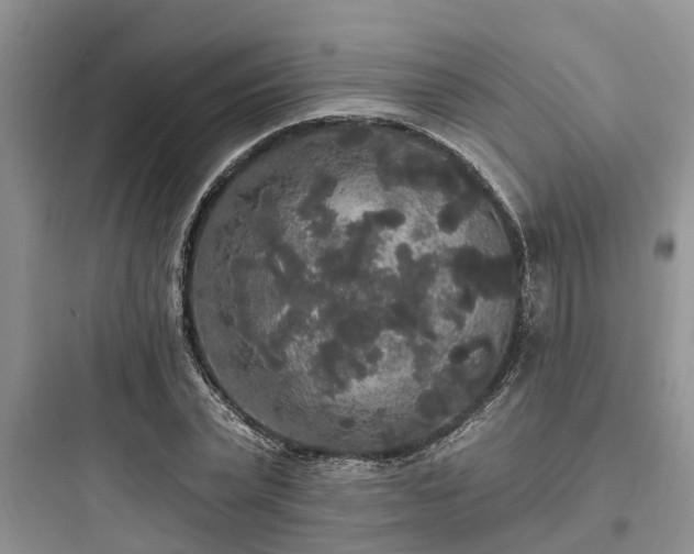 X0000097910783200803211504