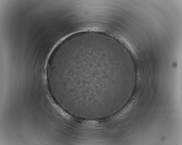 X0000097910784200803211504