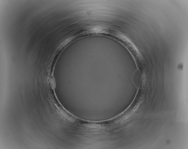 X0000097910785200803211504