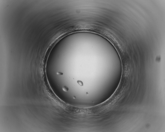 X0000097910786200803211504