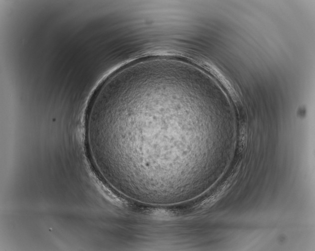 X0000097910787200803211504