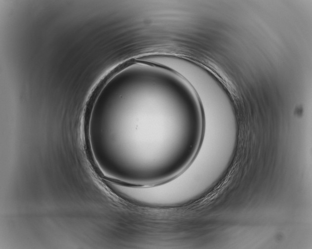 X0000097910788200803211504