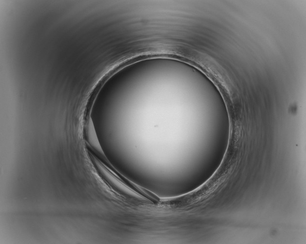 X0000097910789200803211504