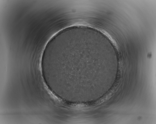 X0000097910791200803211504