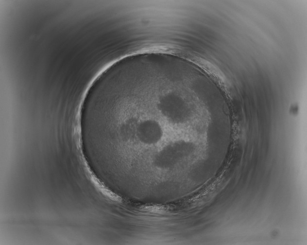 X0000097910792200803211504