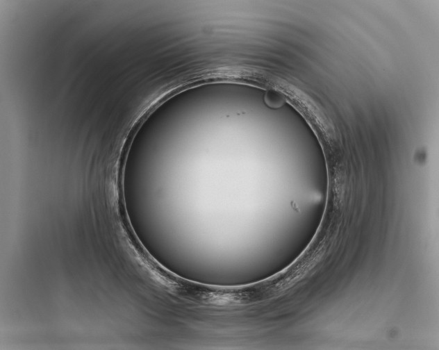 X0000097910794200803211504