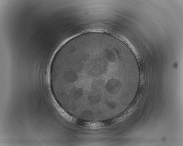 X0000097910795200803211504